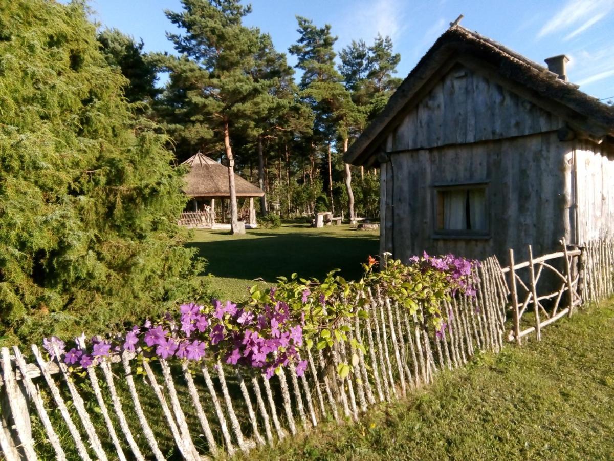 Villa Kadariku Tourism Farm Sakla Exterior foto