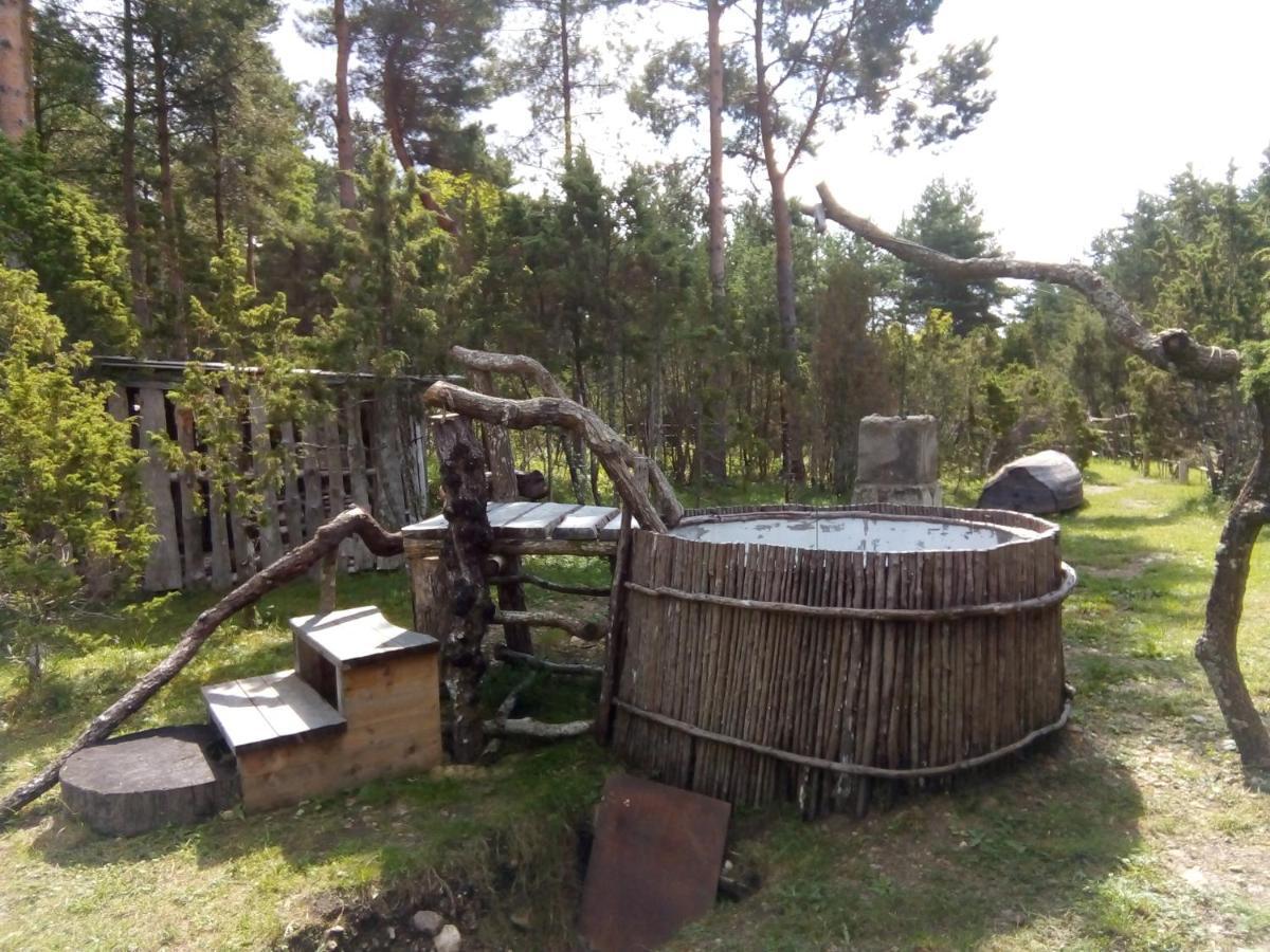 Villa Kadariku Tourism Farm Sakla Exterior foto